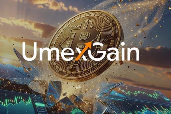 UmexGain : une plateforme de haute qualité et une assistance dédiée